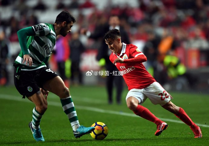 赛地聚焦——欧超杯窗口期热度飙升，本菲卡刷新队史纪录，引发热议，球探报告显示潜力的简单介绍